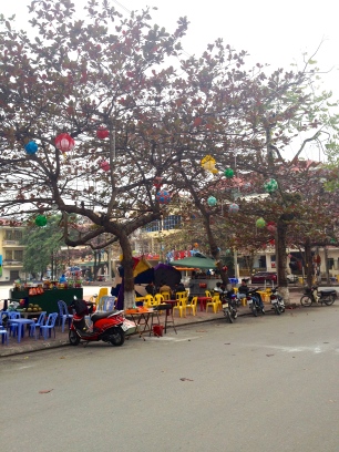 Ha Giang City's trees are filled with lanterns